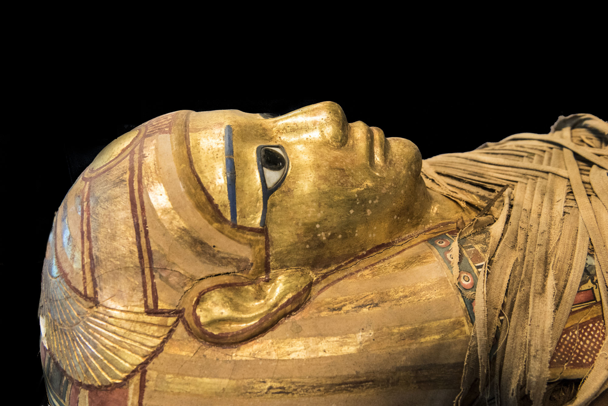 مومياء رجل 